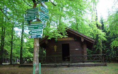Lauftreff am 11.05.2019